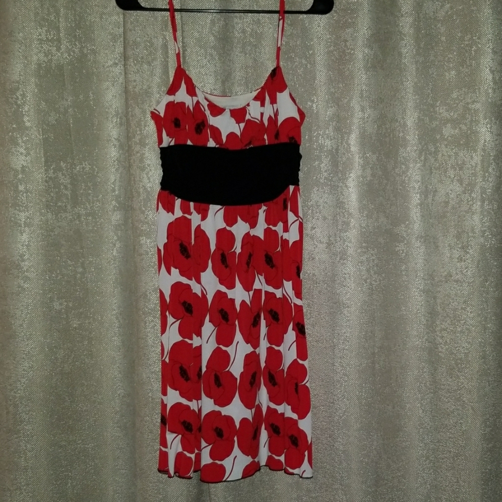 Red and white rose dress